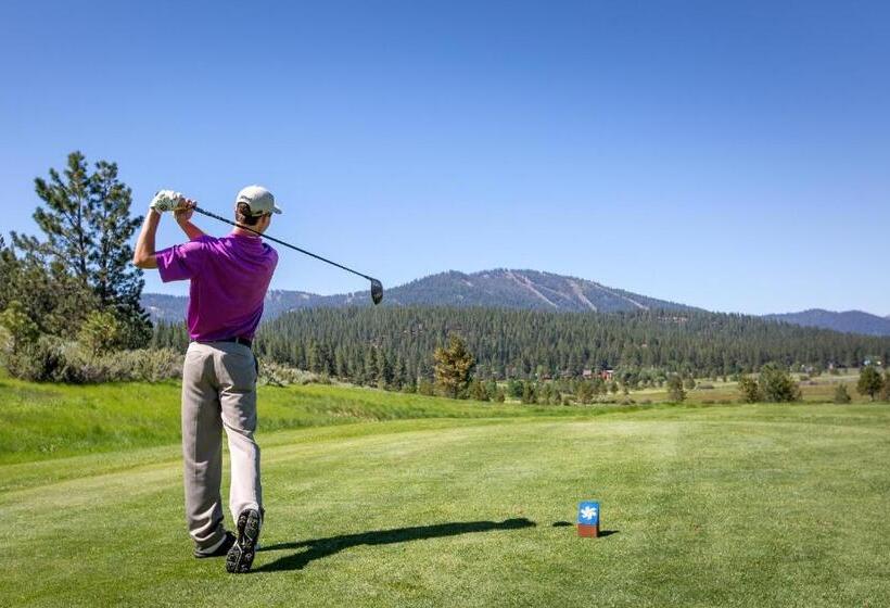 Modern Hotel Style Studio   Timber Creek Lodge #210 Hotel Room