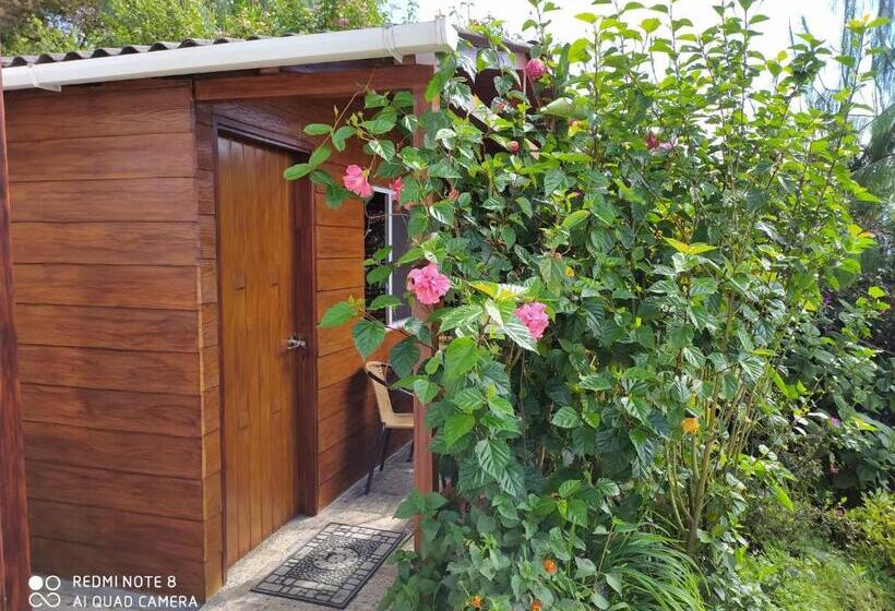 住宿加早餐 Mirador Finca Morrogacho