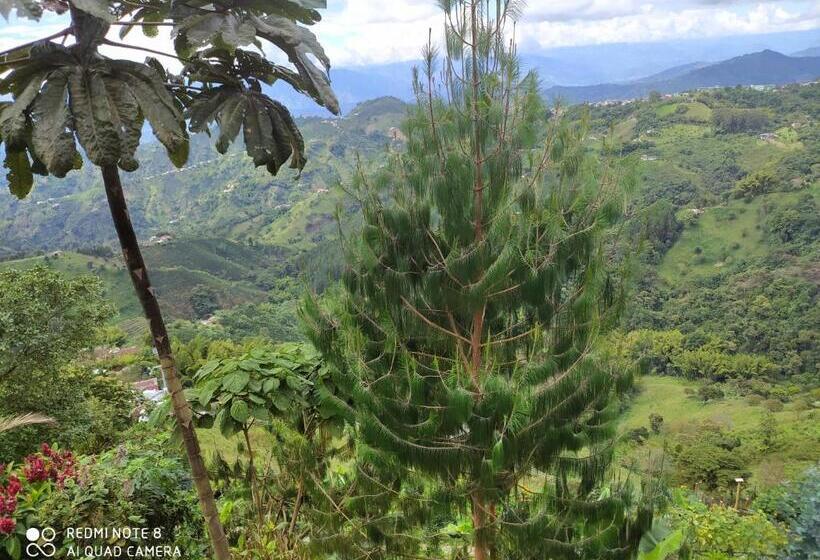 住宿加早餐 Mirador Finca Morrogacho