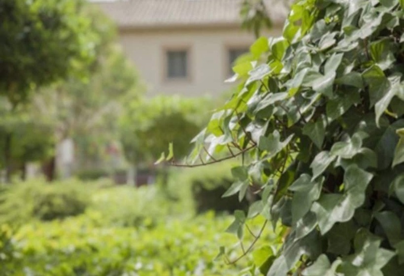 酒店 Confluent Health Resort