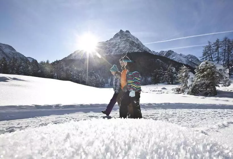ホテル Des Alpes
