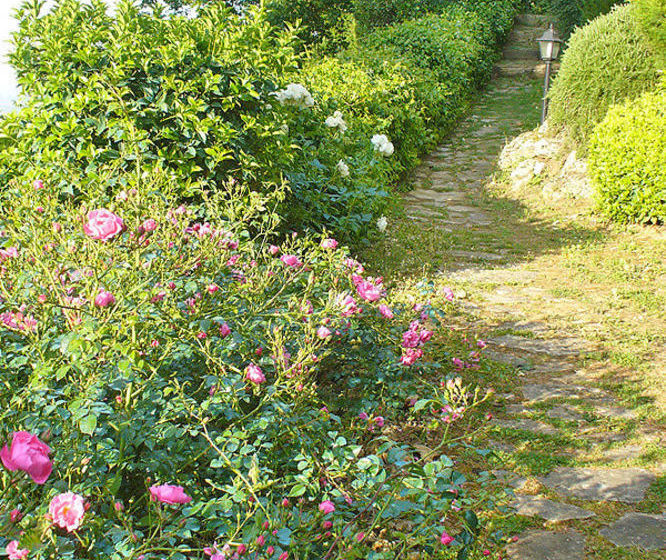 酒店 Fortezza De' Cortesi