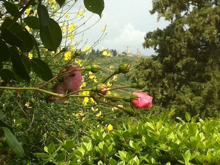 酒店 Fortezza De' Cortesi