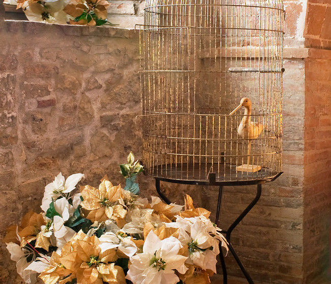 酒店 Fortezza De' Cortesi