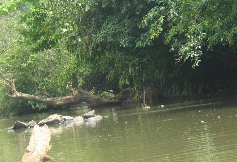 فندق Mintflower Residency