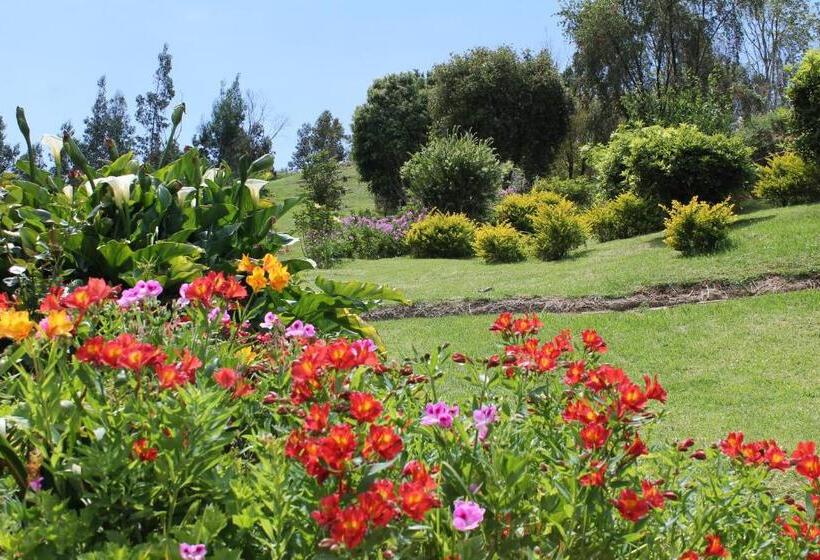 ホテル Suites Arcoiris