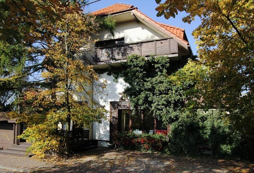 호텔 Villa Zosieńka