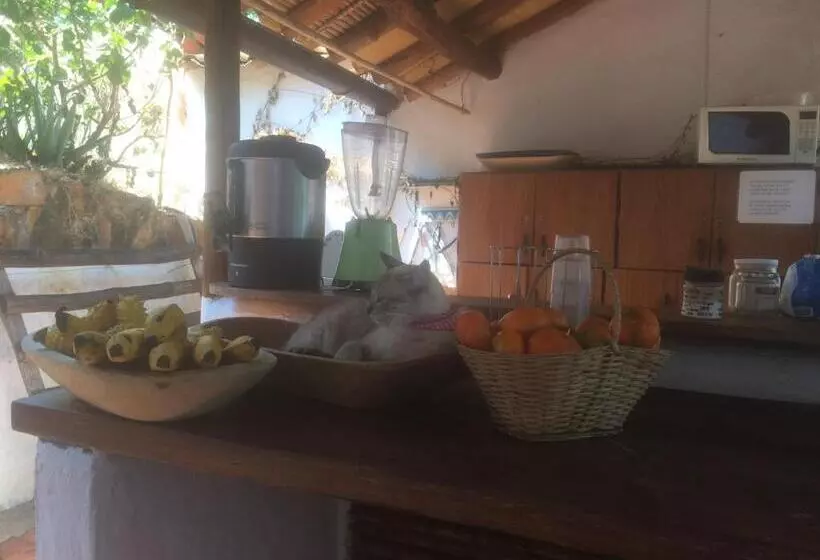 Tinto Hostel