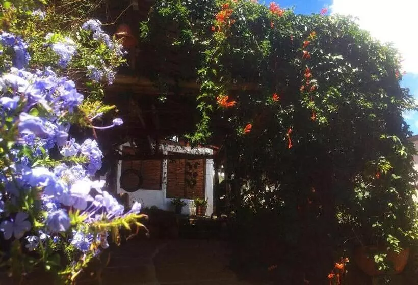 Tinto Hostel