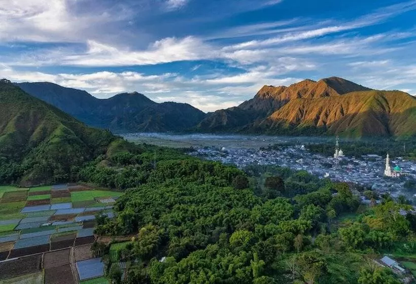 ペンション Tresno Sembalun Rinjani