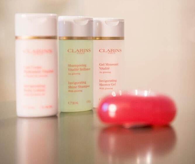 تختخواب و صبحانه Champagne Domaine Sacret Ay