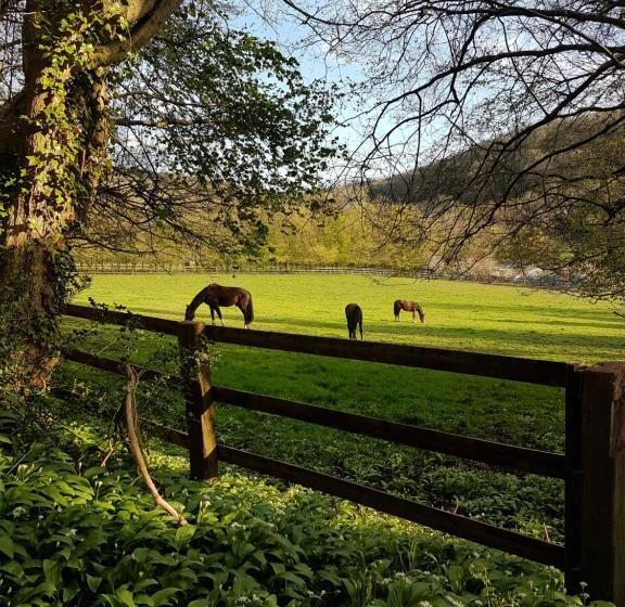 مبيت وإفطار La Griotte & Spa&piscine