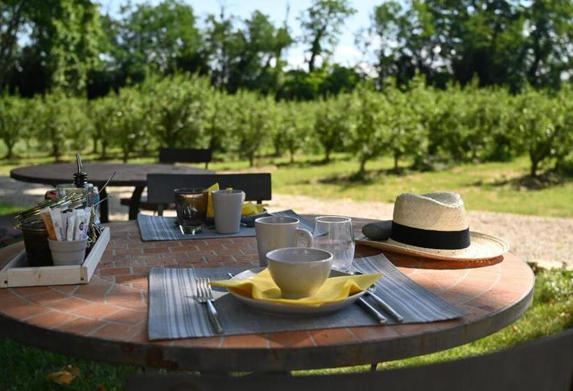 ベッドアンドブレックファースト Mas De Capelou