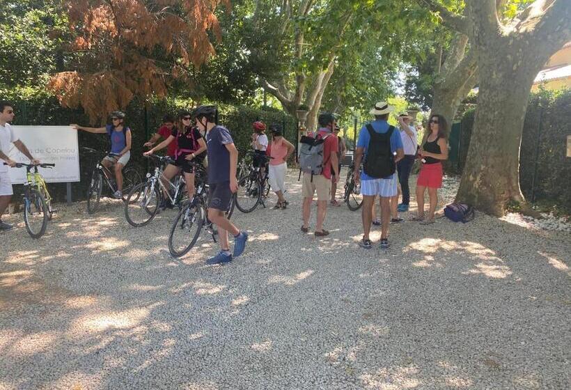 ベッドアンドブレックファースト Mas De Capelou