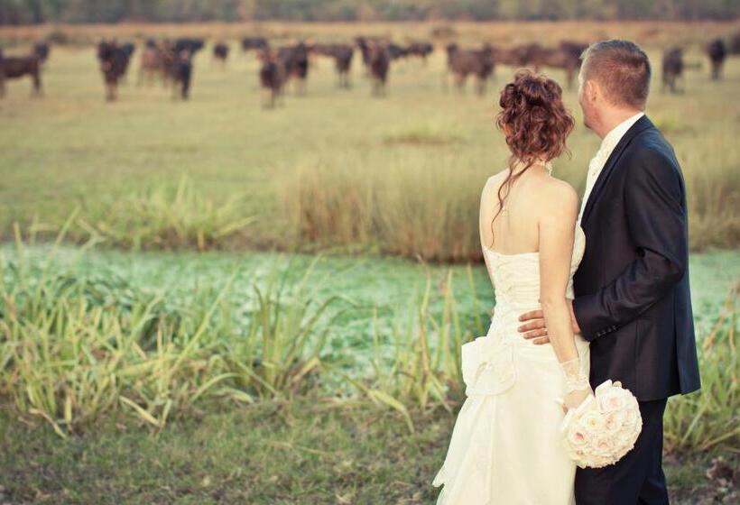 تختخواب و صبحانه Mas Du Menage En Camargue Manade Clauzel