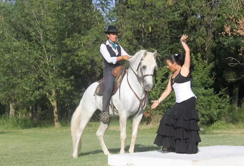 تختخواب و صبحانه Mas Du Menage En Camargue Manade Clauzel