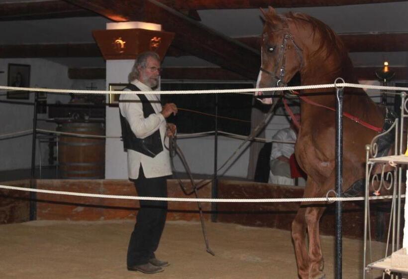 تختخواب و صبحانه Mas Du Menage En Camargue Manade Clauzel