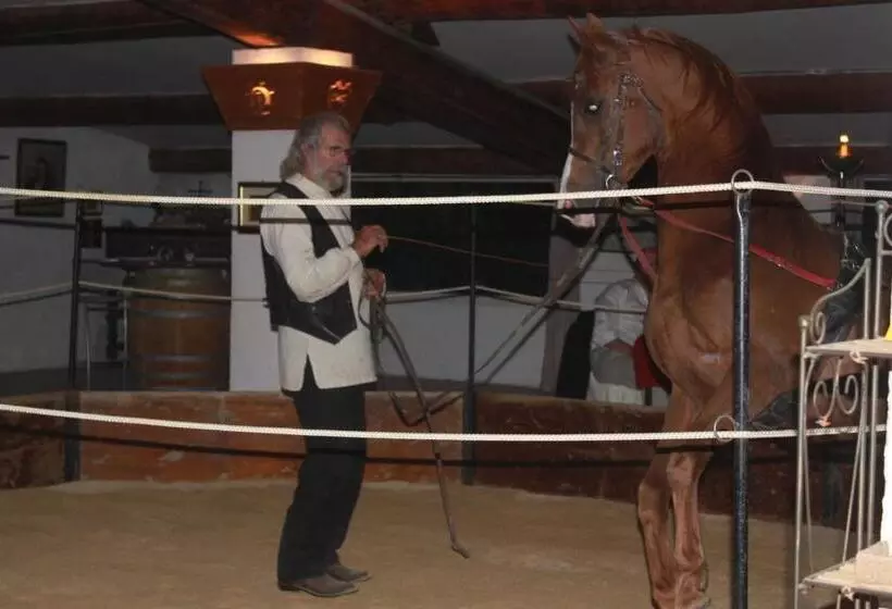 تختخواب و صبحانه Mas Du Menage En Camargue Manade Clauzel