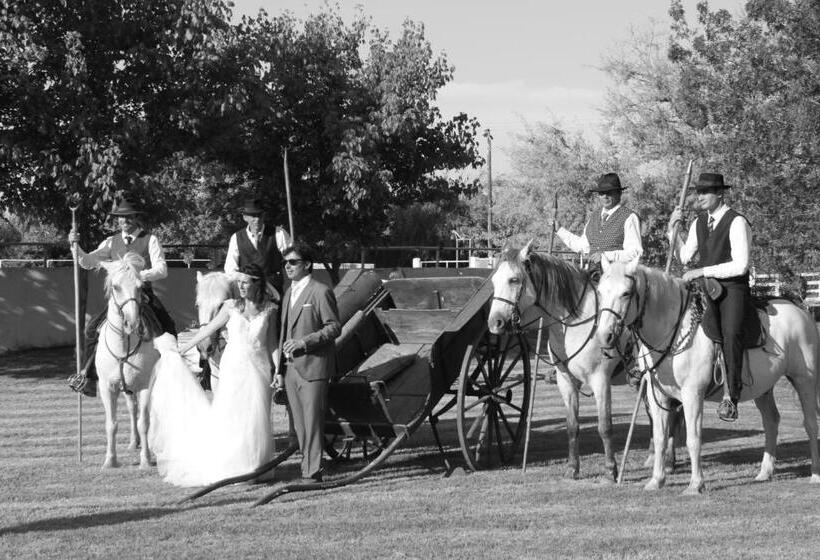 تختخواب و صبحانه Mas Du Menage En Camargue Manade Clauzel