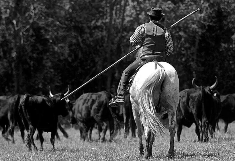 تختخواب و صبحانه Mas Du Menage En Camargue Manade Clauzel