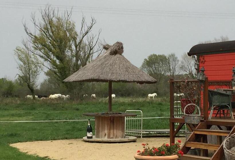 تختخواب و صبحانه Mas Du Menage En Camargue Manade Clauzel