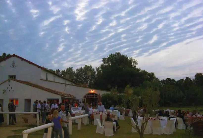 تختخواب و صبحانه Mas Du Menage En Camargue Manade Clauzel