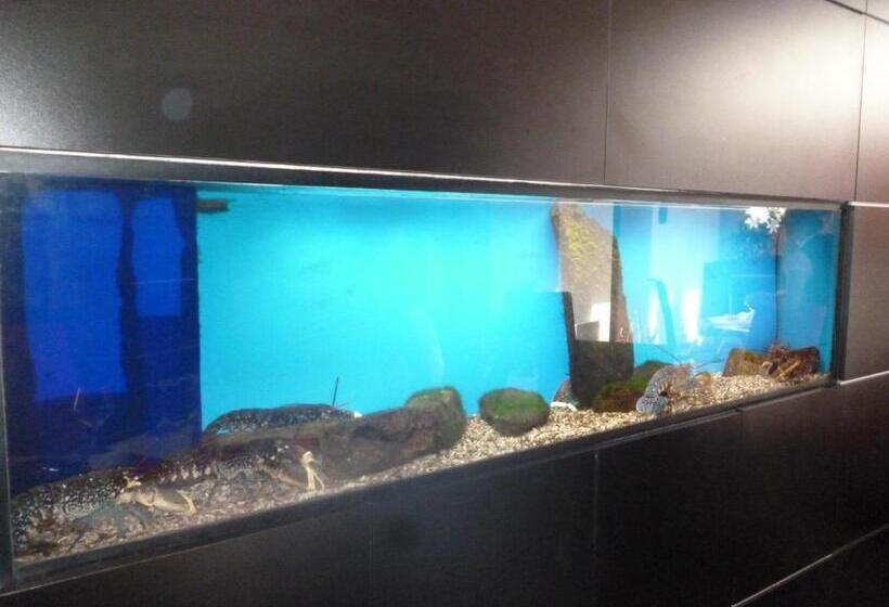 هتل Auberge Bretonne