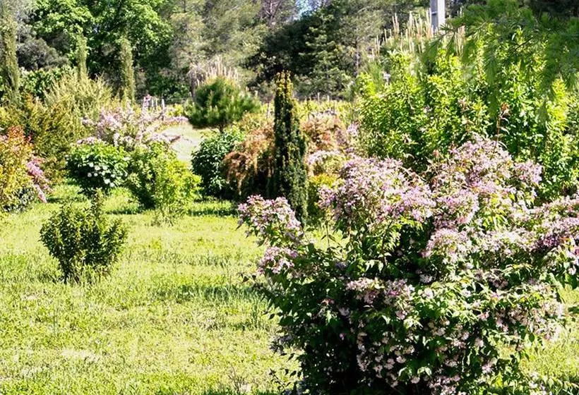 Villa De 2 Chambres Avec Piscine Privee Jardin Et Wifi A Mormoiron