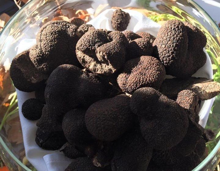 酒店 Le Trésor Des Templiers