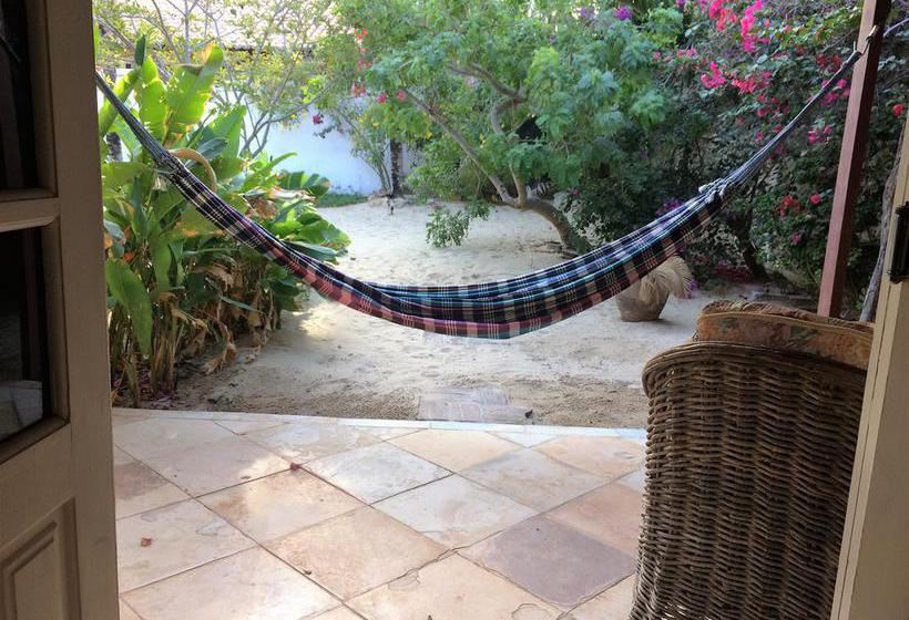 فندق صغير Casa Jasmin