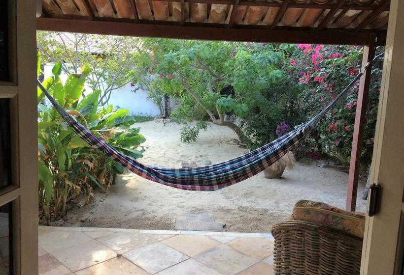 فندق صغير Casa Jasmin