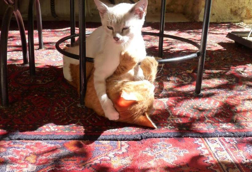 צימר Aux Délices D Excideuil