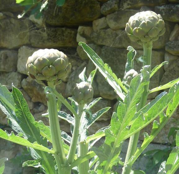 צימר Aux Délices D Excideuil