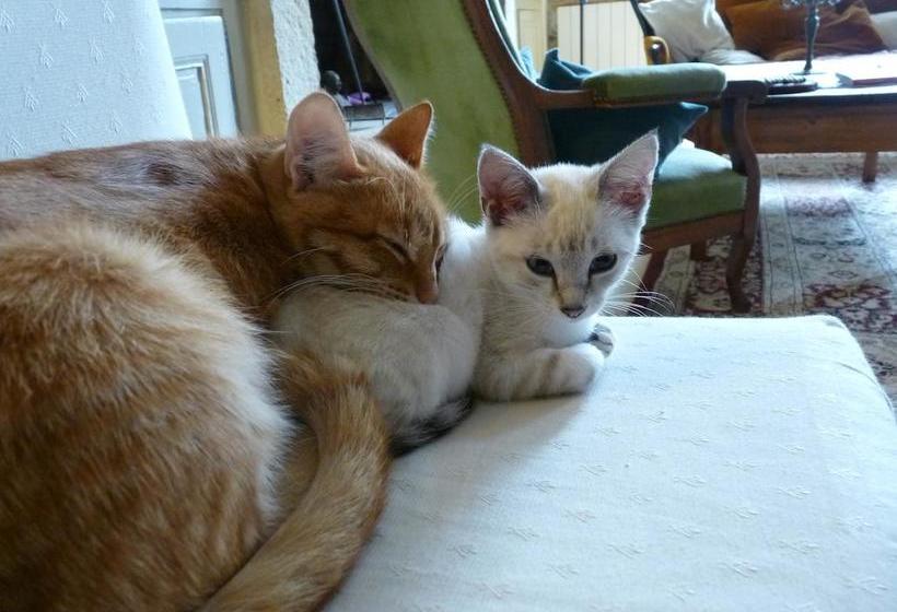 צימר Aux Délices D Excideuil