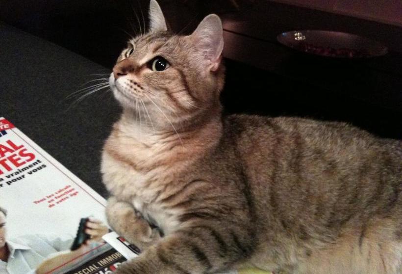تختخواب و صبحانه Beauséjour Porte De Versailles Expo