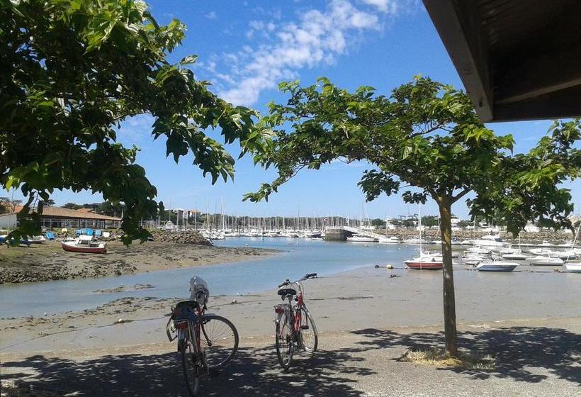 مبيت وإفطار Château De La Marronnière