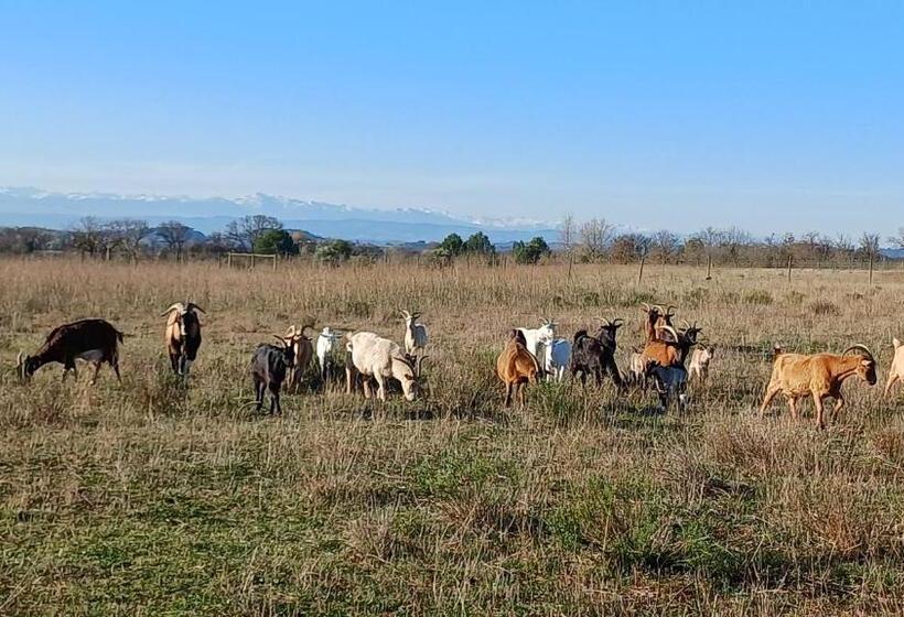 Bed and Breakfast Domaine De La Matte