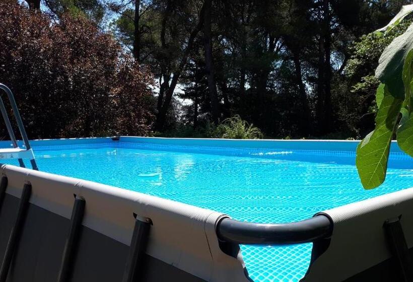 Bed and Breakfast Domaine De La Matte