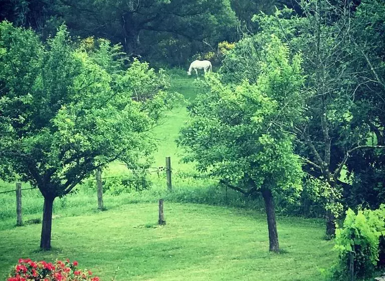 تختخواب و صبحانه La Croix Du Gres