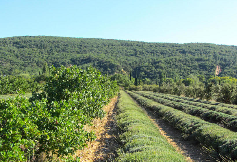 ベッドアンドブレックファースト La Croix Du Gres