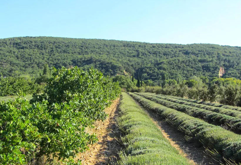 تختخواب و صبحانه La Croix Du Gres