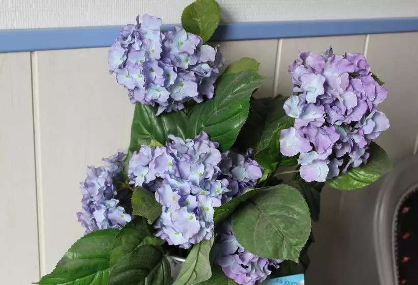 تختخواب و صبحانه La Demeure Aux Hortensias