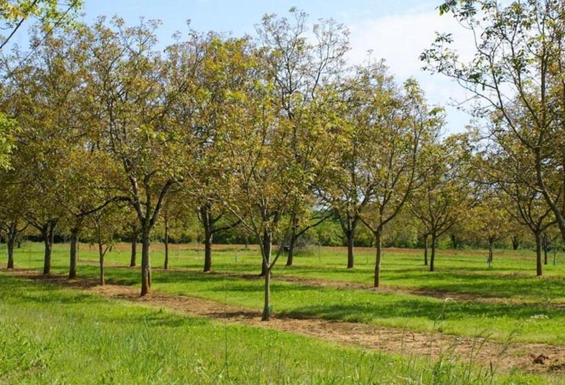 تختخواب و صبحانه La Ferme Du Pech