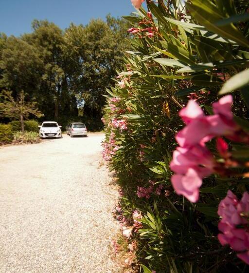 مبيت وإفطار Chambres D Hôtes Le Mas Du Bijou Bleu