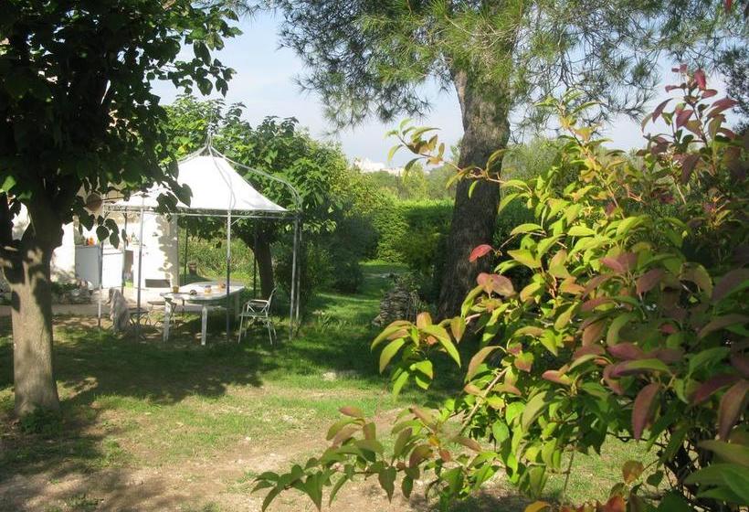 تختخواب و صبحانه Mas Myro