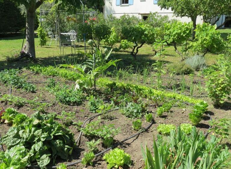 تختخواب و صبحانه Mas Myro