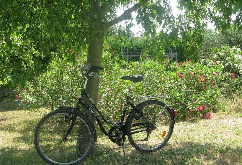 تختخواب و صبحانه Mas Myro