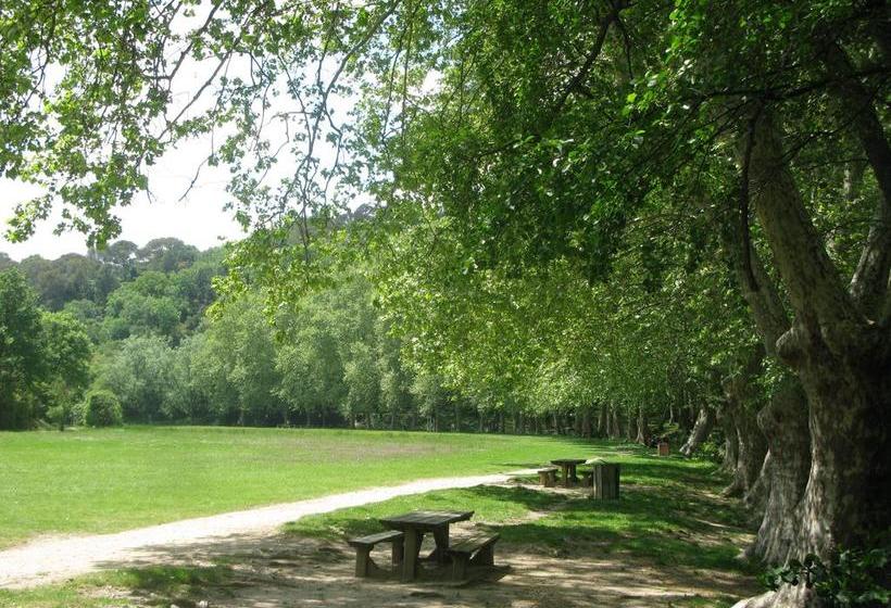 تختخواب و صبحانه Mas Myro