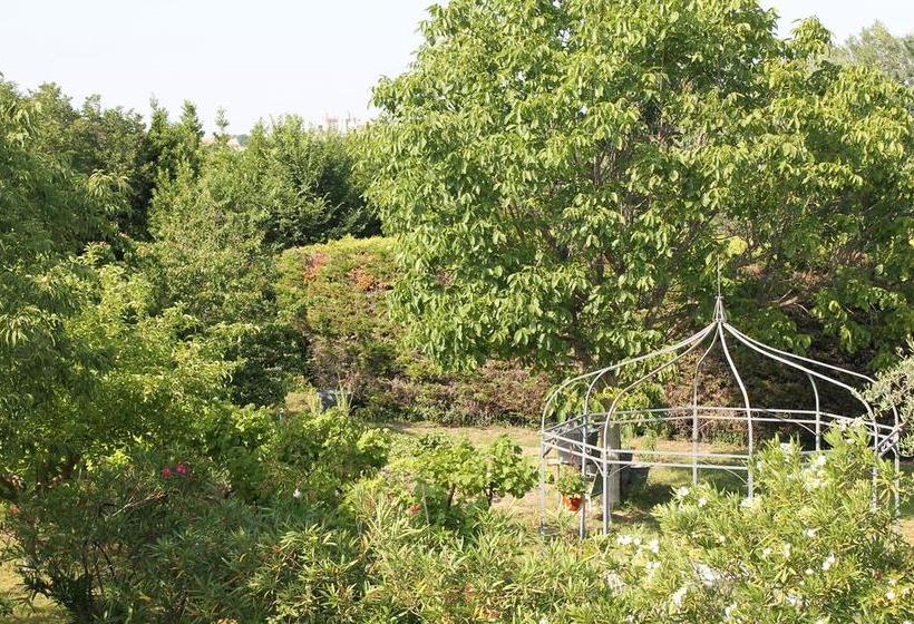 تختخواب و صبحانه Mas Myro