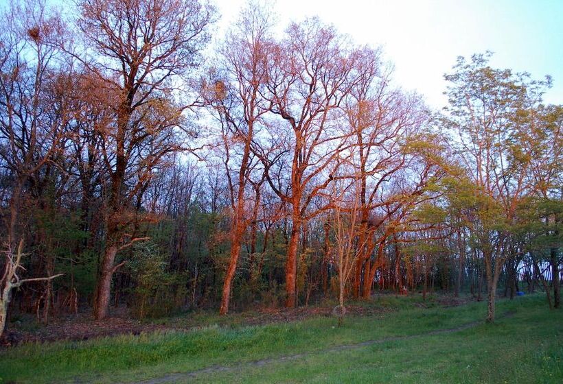 Bed and Breakfast Ranch De Boujac
